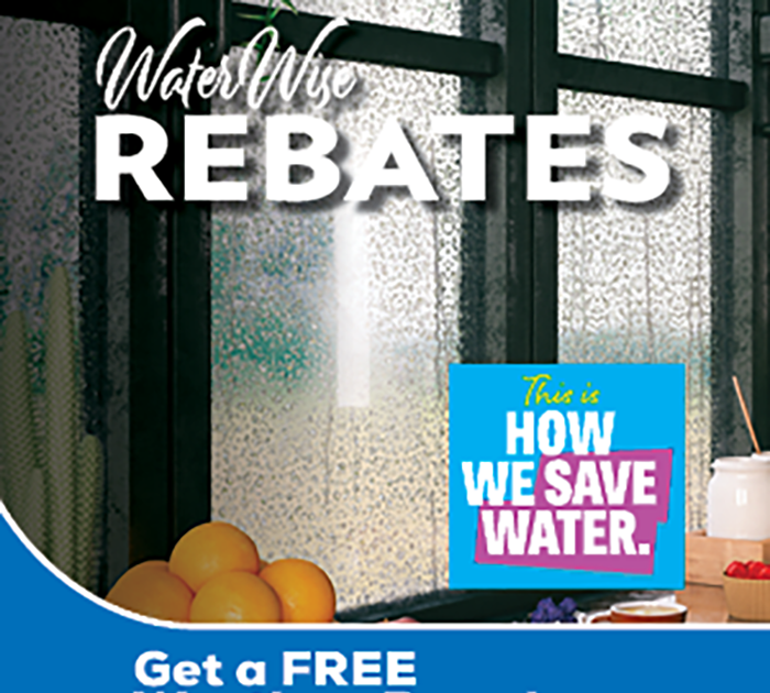 Get Your Water Wise Rebate From EMWD Now Menifee 24 7